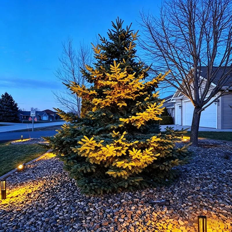 LED-Landscape-lights